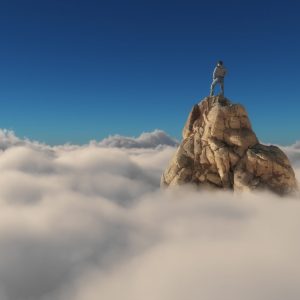 start4growing© Trennungsprozess