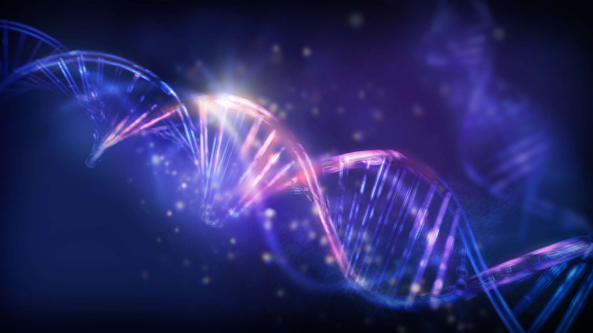DNA im Unternehmen